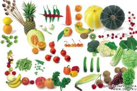 Загадки про растения, овощи, фрукты