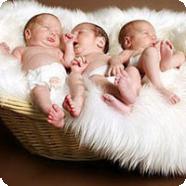 Почему всё чаще рождаются двойняшки и тройняшки